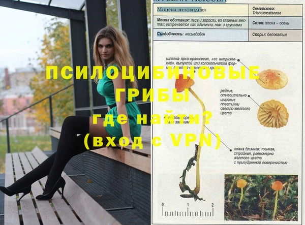 прущая мука Горняк