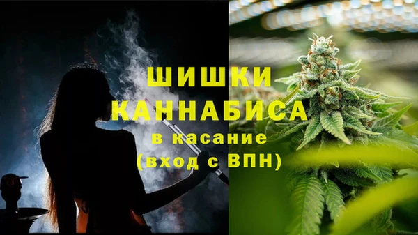 прущая мука Горняк