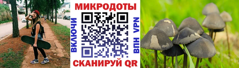 Псилоцибиновые грибы GOLDEN TEACHER  Няндома 